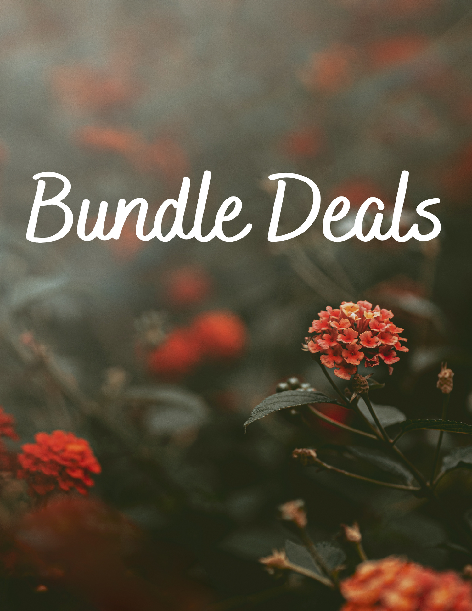 Bundle Deals