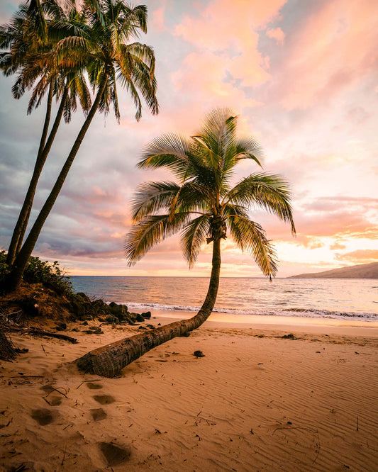 Beachy Glo Room/Linen Spray