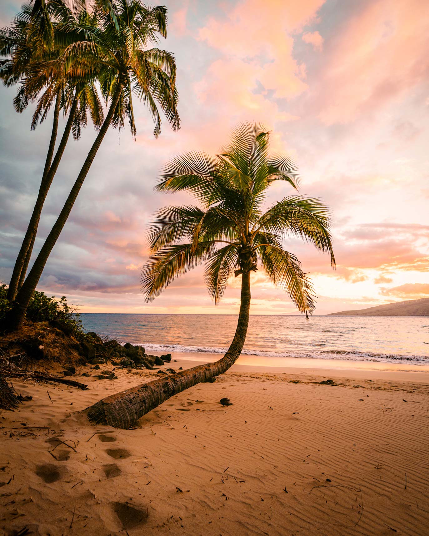 Beachy Glo Wax Melts